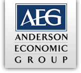 Anderson Economic Group logo